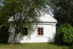 P1050279