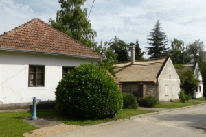 P1050282
