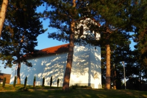 P1050479