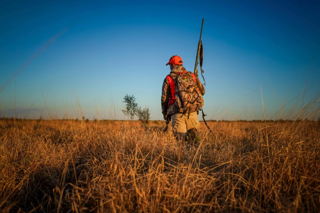 A lone hunter in camouflage and orange cap walking through a sunny field in Florida.